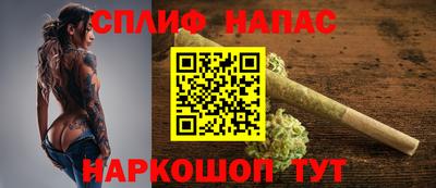 молекула духа Будённовск