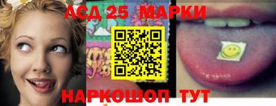 молекула духа Будённовск