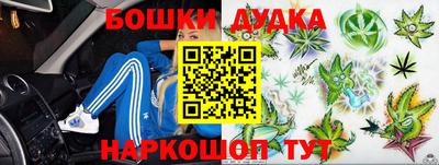 молекула духа Будённовск