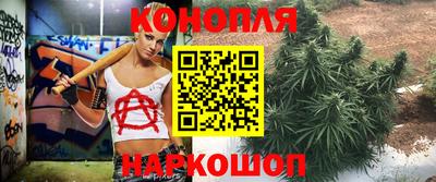 прущие грибы Бузулук