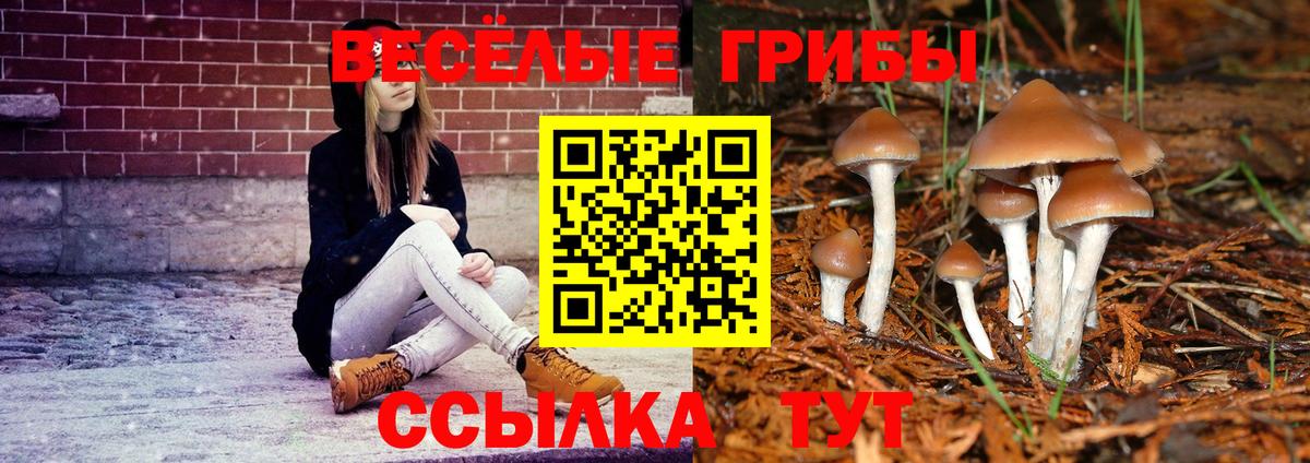цена наркотик  Вход с VPN  Назарово  Галлюциногенные грибы MAGIC MUSHROOMS 